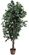 Ficus Artificiel 180 cm vert 1512 feuilles Tronc Nat