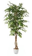 Ficus artificiel abai H 180 cm 1134 superbes feuilles qualité Pro