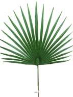 Feuille palmier Chamaerops X6 artificielle H 53 cm D 36 cm ext