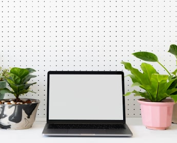 les plantes artificielles pour le bureau