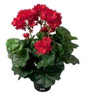 Granium artificiel Rouge 6 ttes en pot lest H35cm superbes feuilles