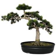 Bonsai artificiel Formosa H 40 X 45 CM 318 feuilles top