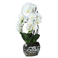 Orchidee artificielle 3 hampes en pot ceramique Argent H 55 cm Crème