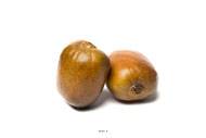 Kiwi artificiel en lot de 2 en Plastique soufflé D 65x70 mm