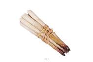 Botte d asperges artificielles rouges en Plastique souffl L 200x20 mm