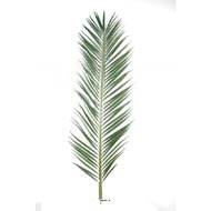 Feuille de palmier Phoenix artificielle en tergal H 185 cm Vert