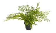 Adiantum plante verte artificielle en pot D 45 cm trs originale