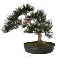 Bonsai artificiel Angel Pinus H 44 cm Finition mousse