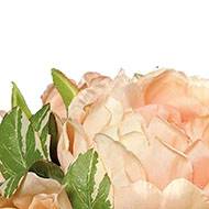 Bouquet Pivoines &Carottes sauvages factice 7 fleurs H20cm Rose saumon