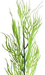 Branche herbe de Corail factice H49cm plastique ext aerien Blanc-vert