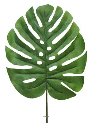 Feuille de Monstera artificielle, H90cm, tissu plastifié, D30cm - BEST