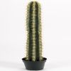 Cactus Cierge artificiel cactee succulente en pot H 98 cm Qualité Pro