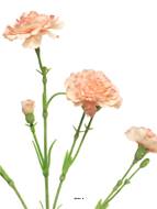 Oeillet artificiel en tige, 4 ramures, H 62 cm Rose pâle - BEST