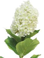 Lilas artificiel en tige, H 85 cm Crème - BEST