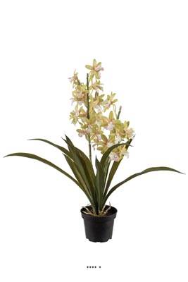 Orchidée cymbidium artificielle en pot, H 45 cm Crème vert
