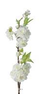 Branche Cerisier Prunus Japon factice H50cm 28 fleurs 2 ramures Crème