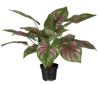 Caladium artificiel en pot H 40 cm D 50 cm Grandes feuilles tissu top