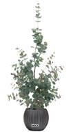 Eucalyptus artificiel en pot, H 95 cm, D 16 cm
