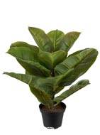 Ficus robusta artificiel en pot, H 30 cm, D 27 cm