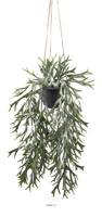 Fougère Platycerium artificielle en pot suspendu, L 35 cm, D 24 cm