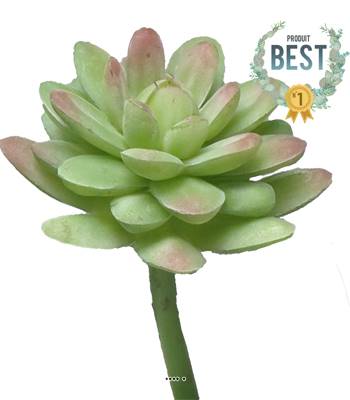 Echeveria elegans factice en piquet, H16cm, D12cm, Vert-rouge - BEST