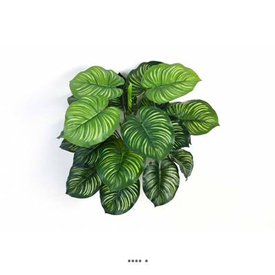 Calathea artificiel en piquet 22 feuilles, H 45 cm Vert