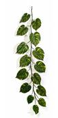 Guirlande de feuilles de pothos H 230 cm largeur 70 cm