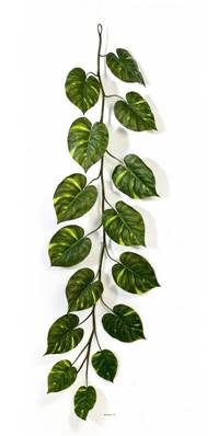 Guirlande de feuilles de pothos H 230 cm largeur 70 cm