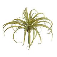 Tillandsia artificiel en piquet H 23 cm D 30 cm vert aloe