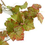 Guirlande de vigne artificielle L 118 cm 34 feuilles en tissu enduit Automne