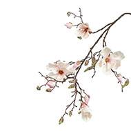 Branche de magnolia artificiel 4 fleurs 22 boutons H 107 cm Rose-crème