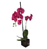 Sublime orchidée artificielle en pot H 75 cm  Rose fushia