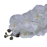 Branche de fausse orchidée pour décoration L 100 cm Blanc 