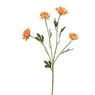 Marguerite artificielle en tige H 60 cm 4 têtes Rose saumon