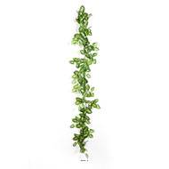 Guirlande de syngonium Nepthytis artificiel Ramifiée L180 cm en Tissu