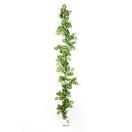 Guirlande de syngonium Nepthytis artificiel Ramifiée L180 cm en Tissu