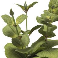 Herbe aromatique artificielle Menthe H 17 cm, D 11cm pot Béton
