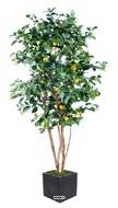 Citronnier factice tronc naturel en pot et fruits H180cm Jaune citron