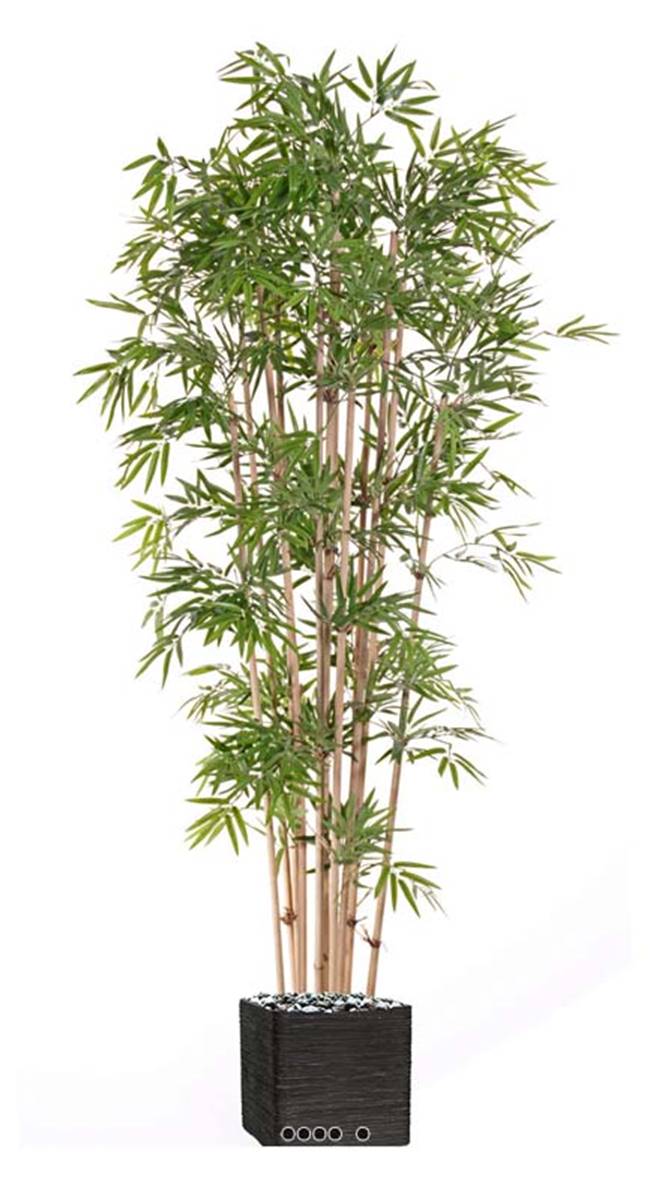 Bambou artificiel en pot 12 cannes, 2400 feuilles, H 180 cm, D 60 cm du  site