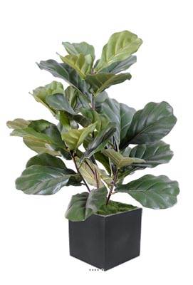 Ficus Lyrata buisson factice tronc PE en pot chic, original H60cm Vert