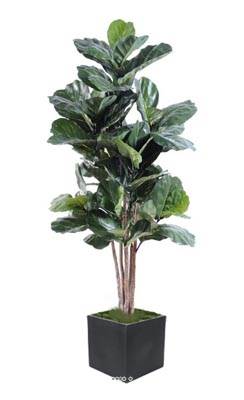 Ficus Lyrata artificiel Vert H 190 cm en pot tronc bois très chic