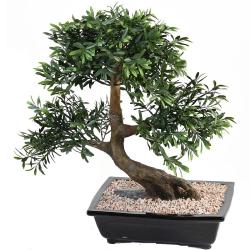 Bonsa Saule Noir Artificiel H 50 cm D 45 cm en pot