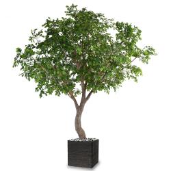 Chêne Artificiel H 360 cm D 290 cm en pot