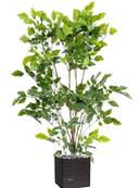 Palissandre artificielle en plastique arbre anti-UV en pot H 120 cm Vert