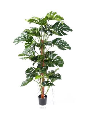 Philodendron Monstera artificiel 160 cm en pot