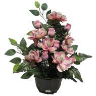 Vasque de Magnolia, bouton de rose, ficus pour la toussaint Rose-crème