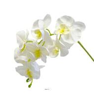 Orchidée Tao factice H105 cm 8 fleurons 5 boutons qualité Pro Crème