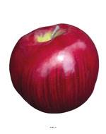 Pomme fruit factice en plastique diamètre 8 cm Rouge