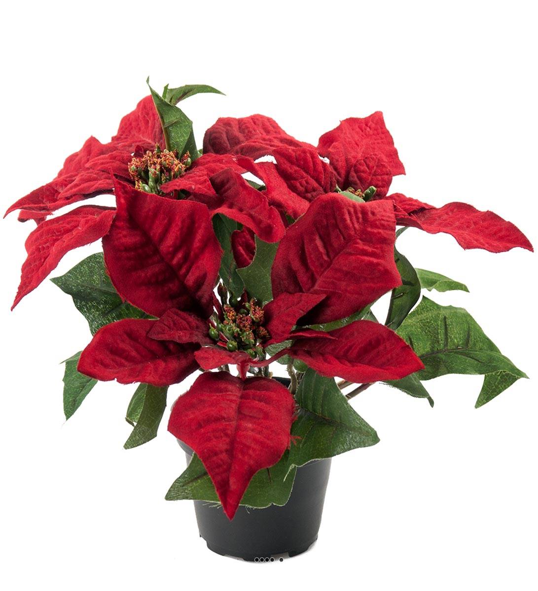 Poinsettia artificiel en Pot H 26 cm tres dense 5 fleurs du site  Artificielles.com.