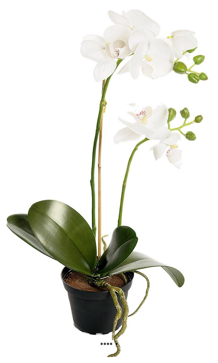 artificielles Orchidee artificielle 2 hampes en pot H 40 cm toucher reel du site Artificielles.com